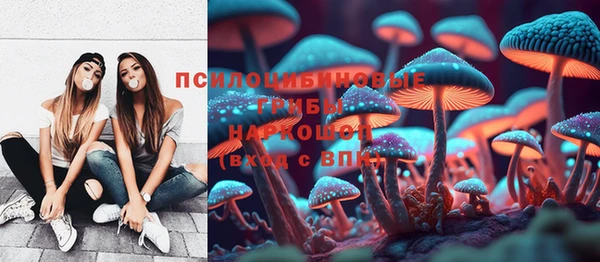 стафф Киренск