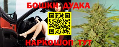 прущие крисы Кингисепп