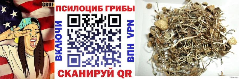 Галлюциногенные грибы MAGIC MUSHROOMS  Красногорск 