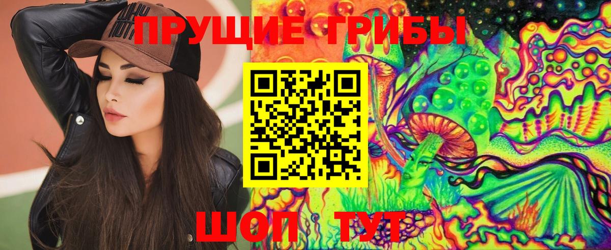 Галлюциногенные грибы прущие грибы  Псилоцибиновые грибы Psilocybine cubensis  Красногорск  Вход с VPN 